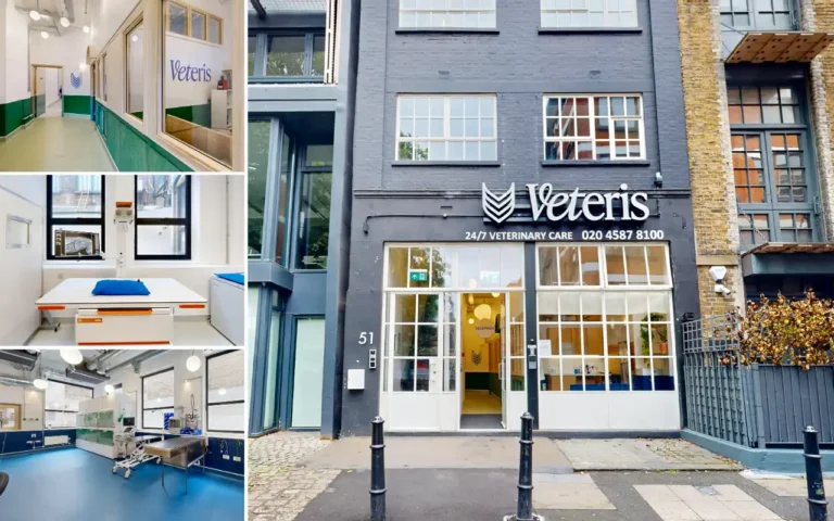 Veteris Hospital Street View Virtual Tour