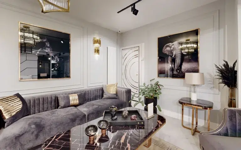 Zebrano Store Virtual Tour