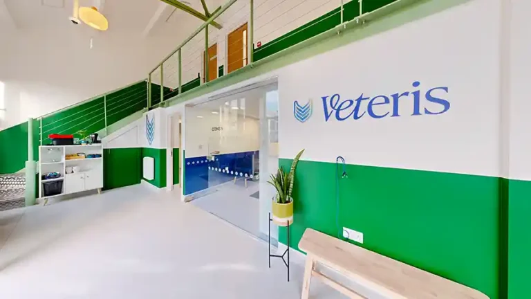 Veteris Emergency Hospital in Clapham